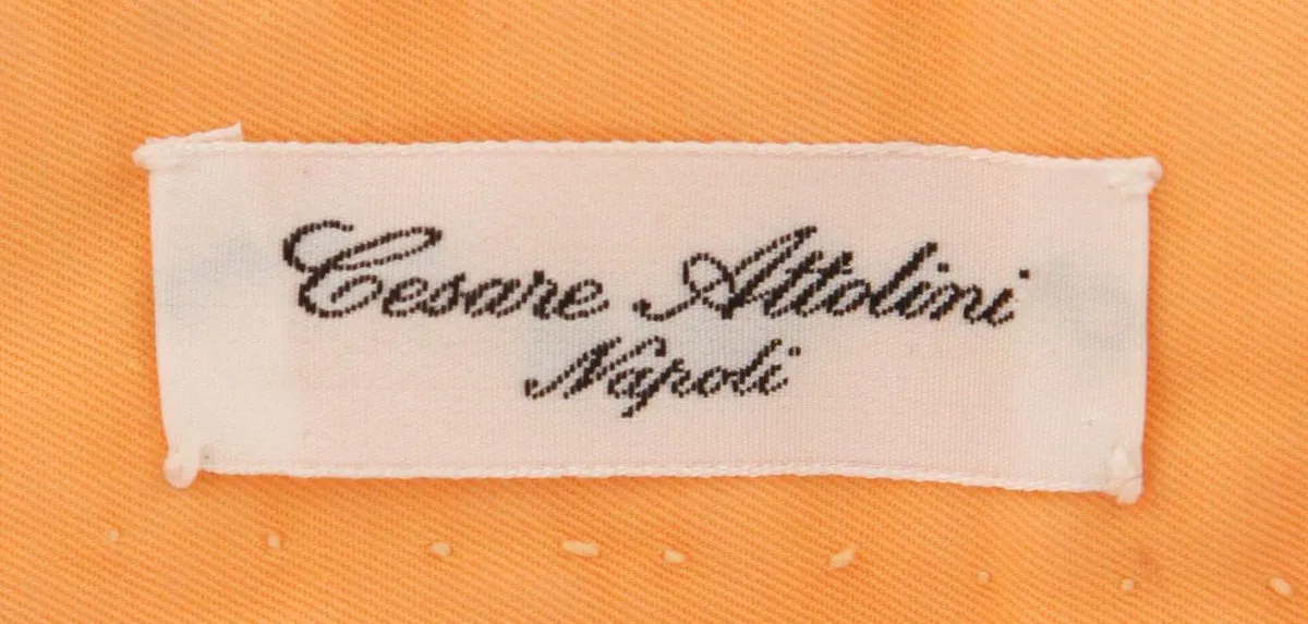 Cesare Attolini Orange Pants